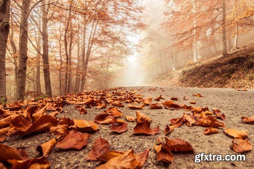 Autumn landscape