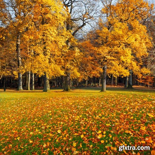 Autumn landscape