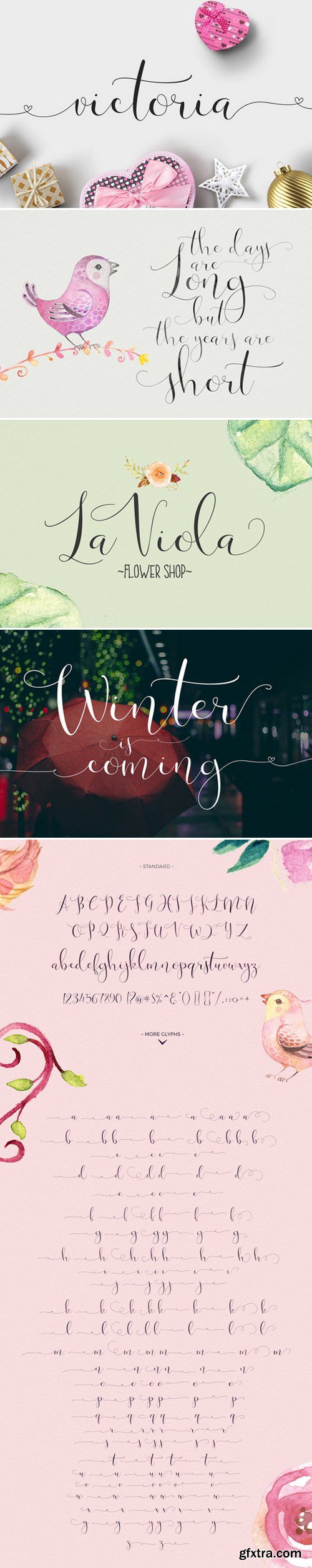 CM - Victoria Script Font 381195