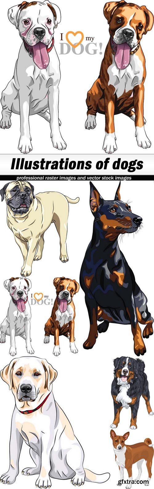 Illustrations of dogs