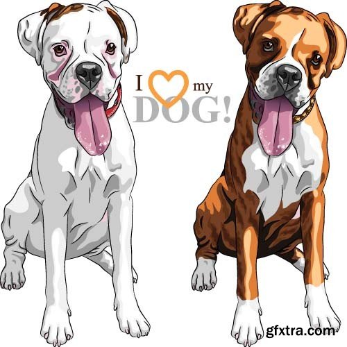 Illustrations of dogs