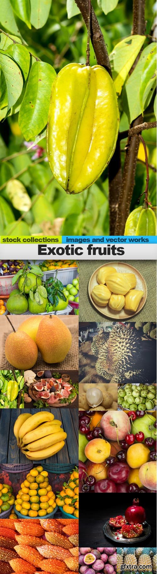 Exotic fruits, 15 x UHQ JPEG