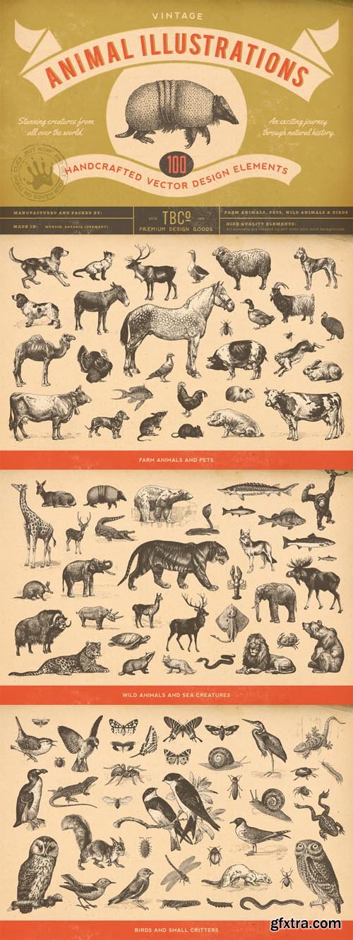 100 Vintage Animal Illustrations