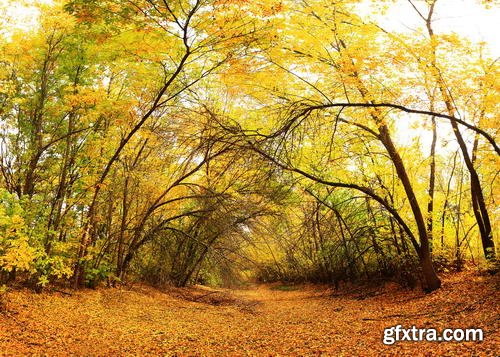 Autumn Landscape II, 25xJPG