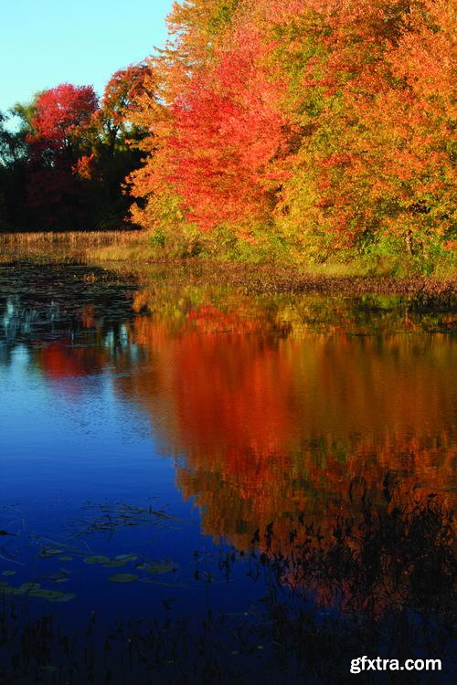 Autumn Landscape II, 25xJPG