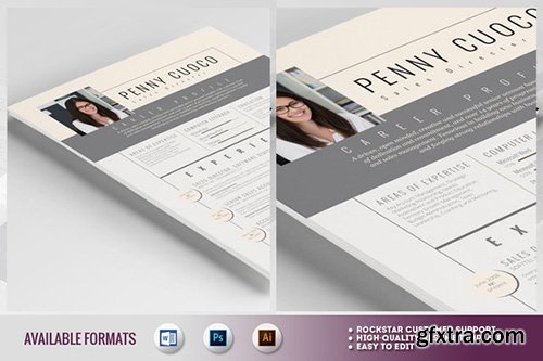 CreativeMarket Resume Template Sirius