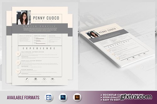 CreativeMarket Resume Template Sirius