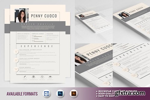 CreativeMarket Resume Template Sirius