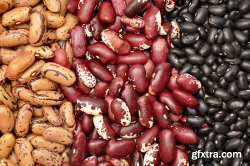 Collection bean food meal of beans 25 HQ Jpeg