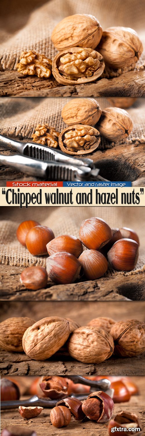 Chipped walnut and hazel nuts