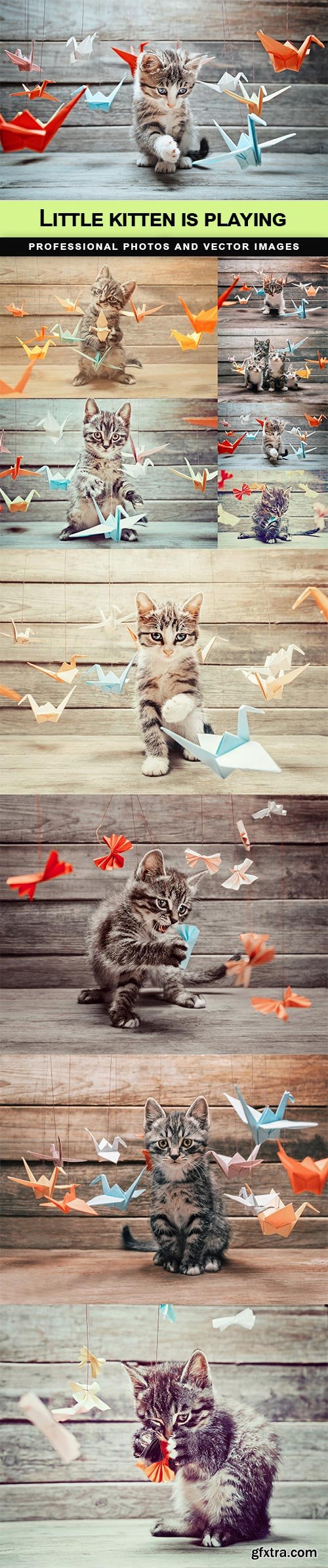 Little kitten is playing - 10 UHQ JPEG