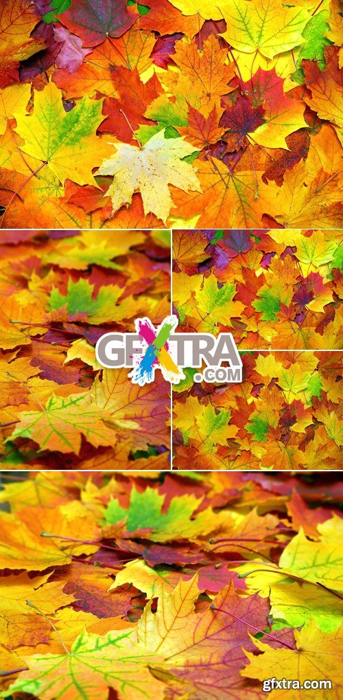 Stock Photo - Autumn Leaves Backgrounds 7