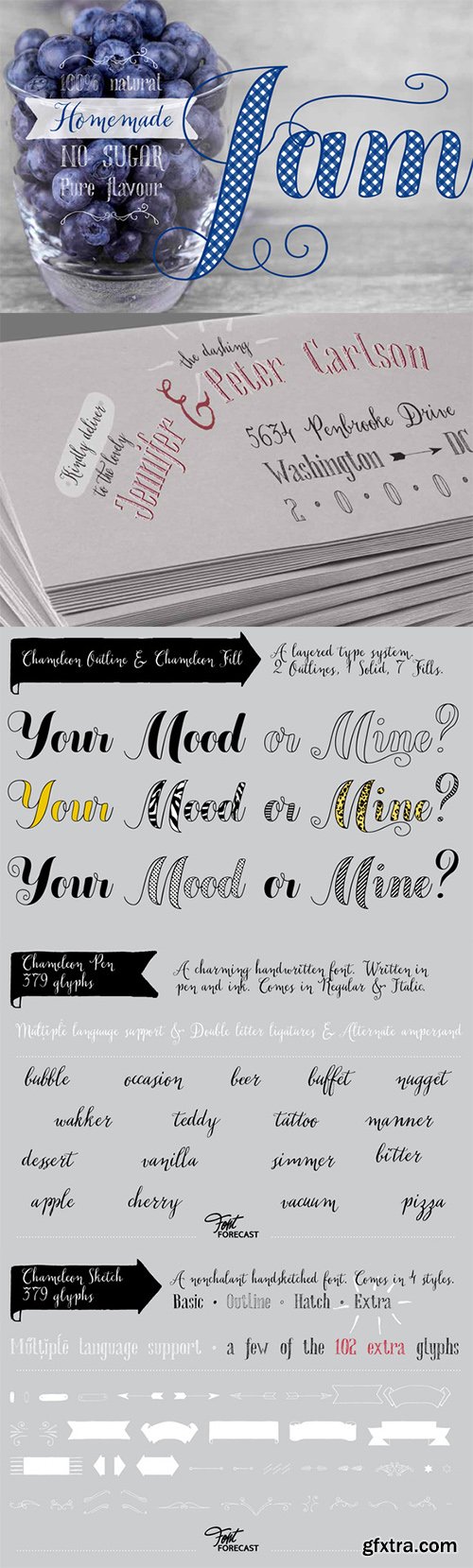 CM Chameleon Font Family 397238 - 16 Fonts