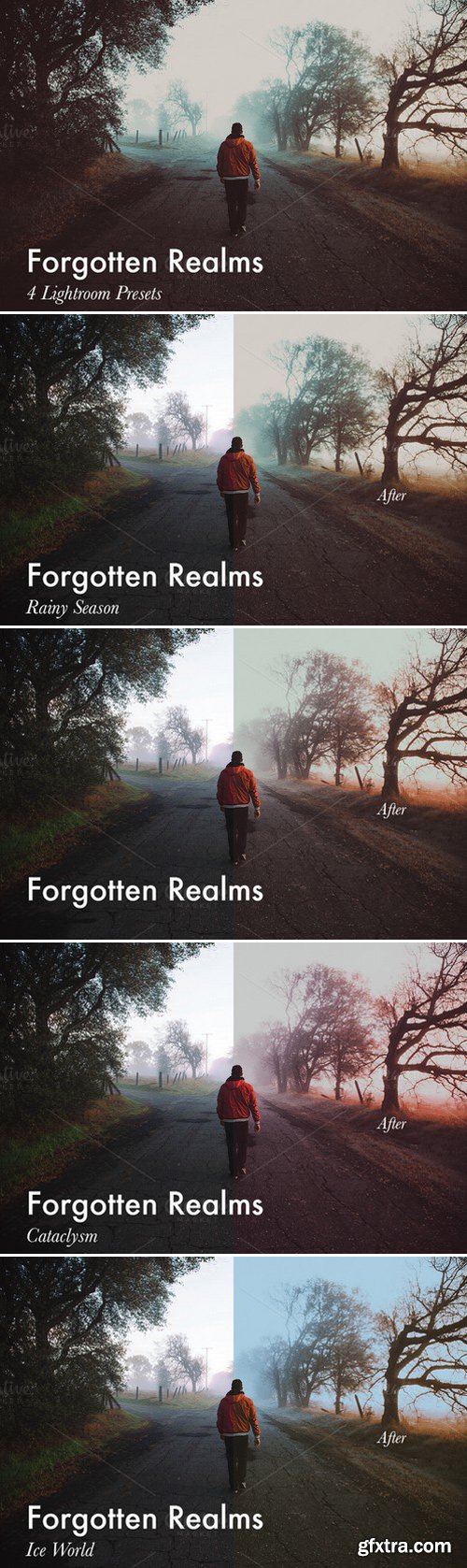 CM - Forgotten Realms-4 Lightroom Presets 400125