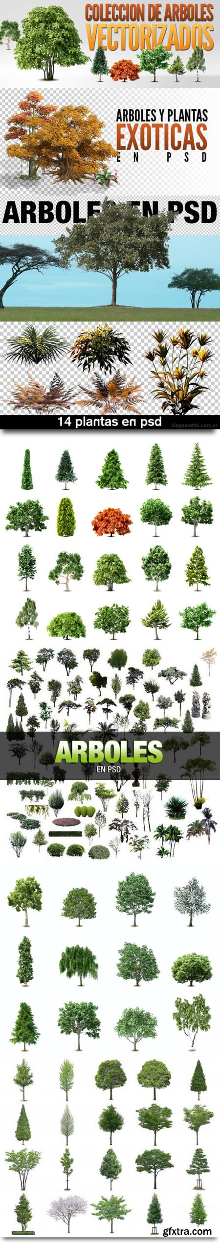 Variety of Trees and Plants in PSD & EPS