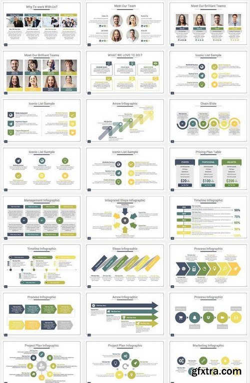 Graphicriver 3 in 1 Bear PowerPoint Template Bundle 13028387