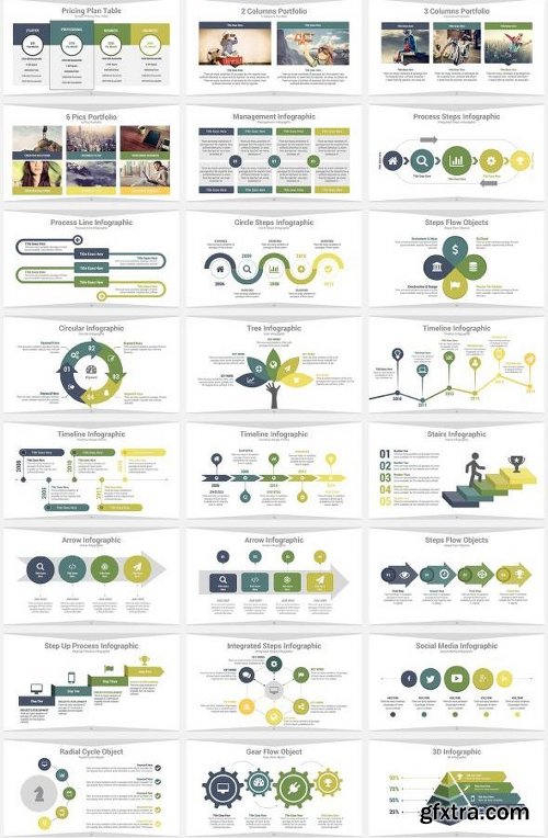 Graphicriver 3 in 1 Bear PowerPoint Template Bundle 13028387