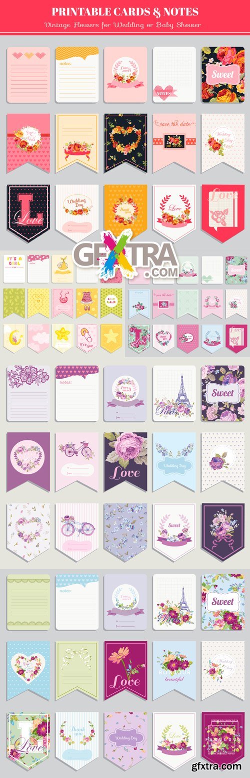 Cards & Notes Vector 2