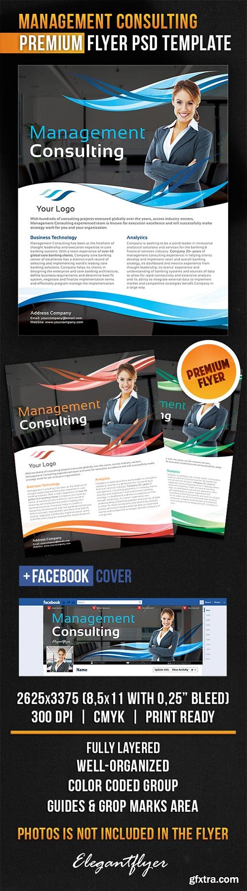 Management Consulting Flyer PSD Template + Facebook Cover