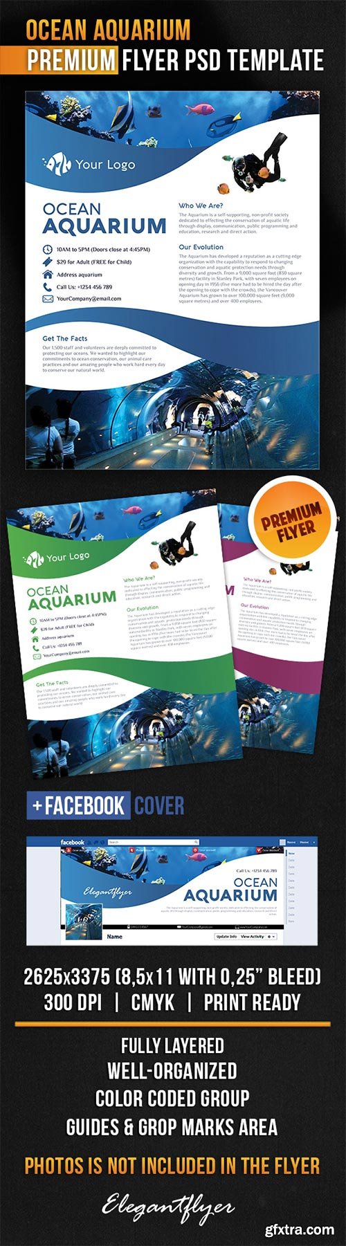 Ocean Aquarium Flyer PSD Template + Facebook Cover