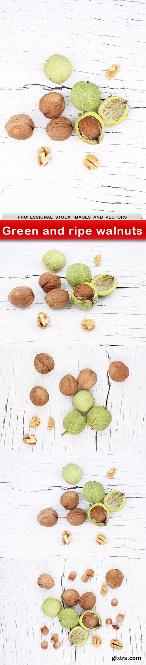 Green and ripe walnuts - 5 UHQ JPEG