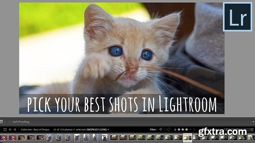 Pick Your Best Photos in Lightroom