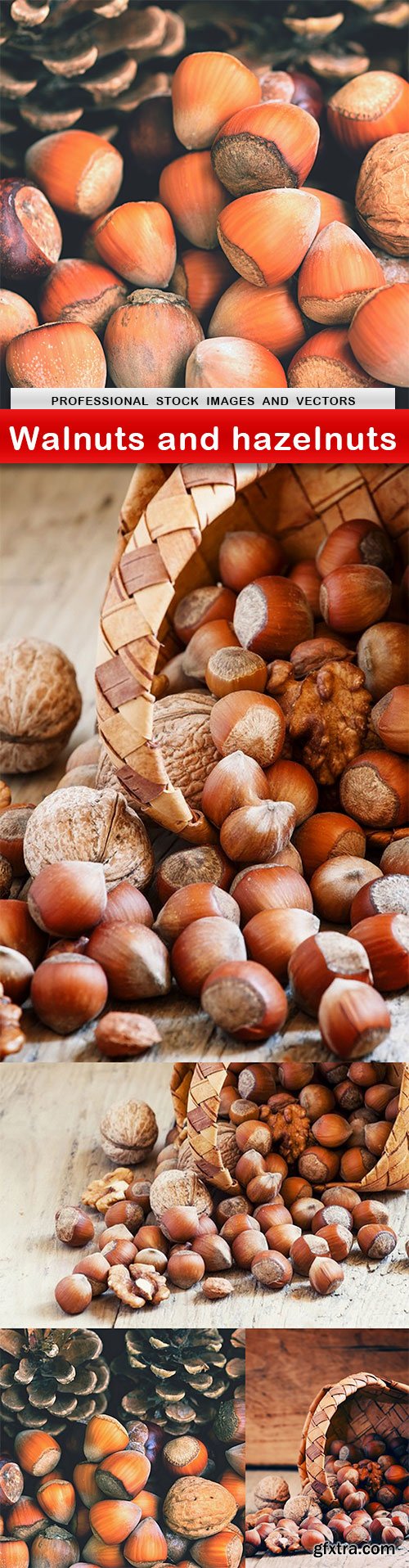 Walnuts and hazelnuts - 5 UHQ JPEG