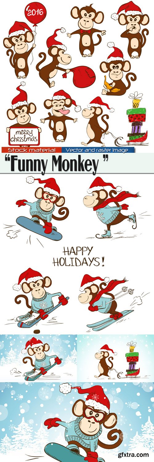 Funny Monkey