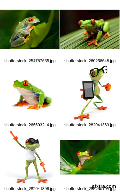 Amazing SS - Frogs, 25xJPGs