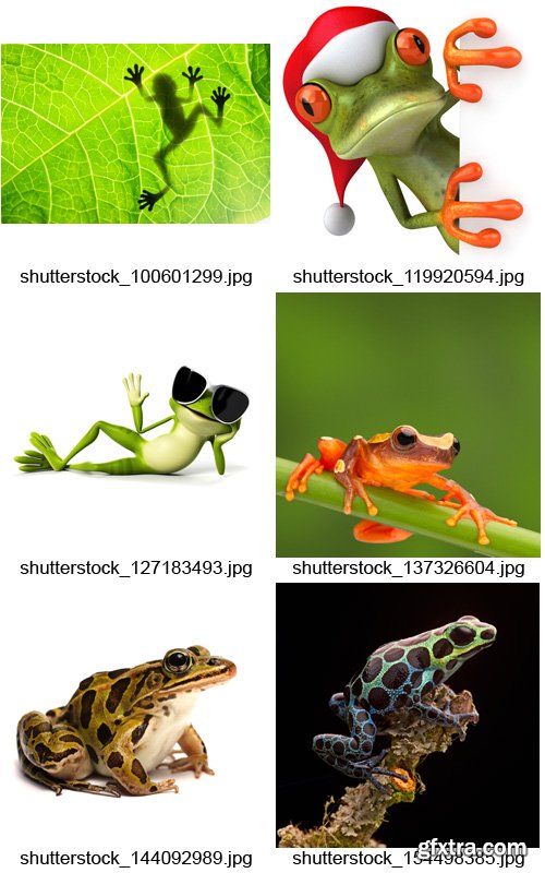 Amazing SS - Frogs, 25xJPGs