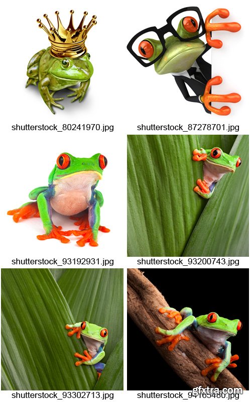 Amazing SS - Frogs, 25xJPGs