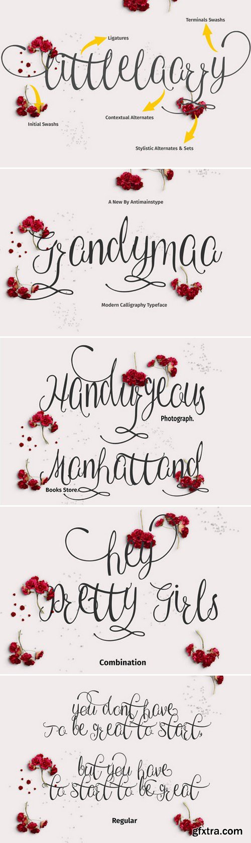 CM - Grandymaa Typeface + Swashs 409355