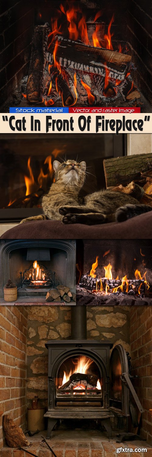 Cat In Front Of Fireplace