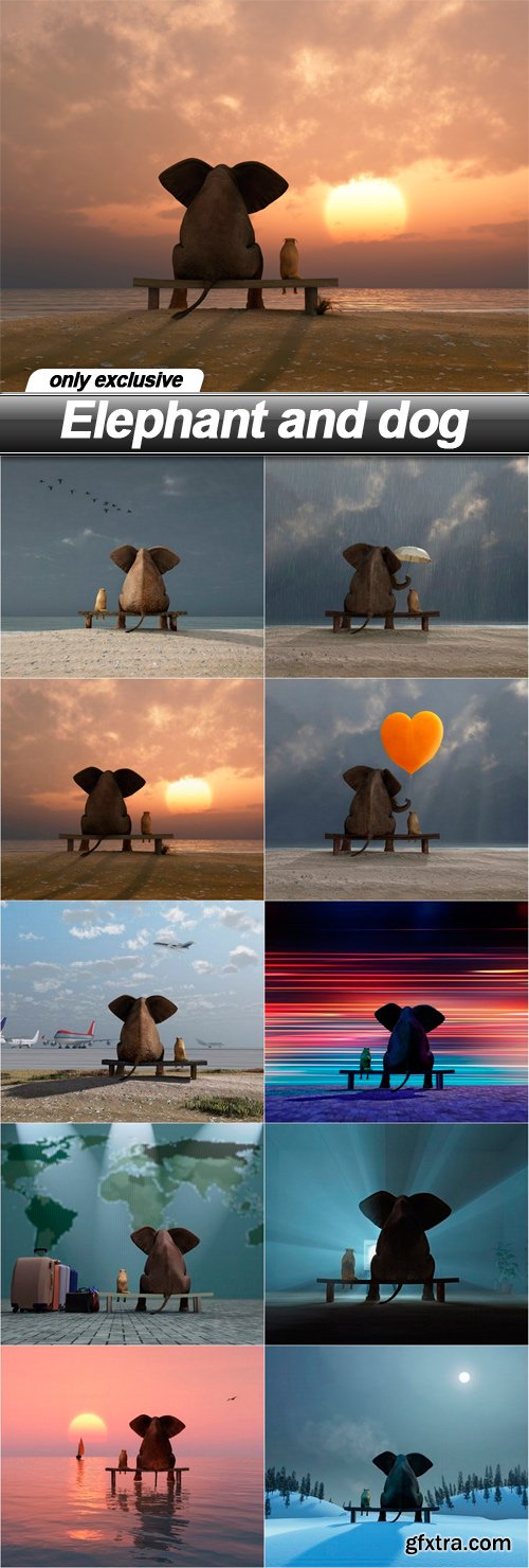 Elephant and dog - 10 UHQ JPEG