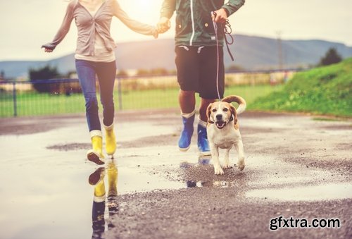 Collection of deluge downpour rain autumn walk through a puddle autumn weather 25 HQ Jpeg