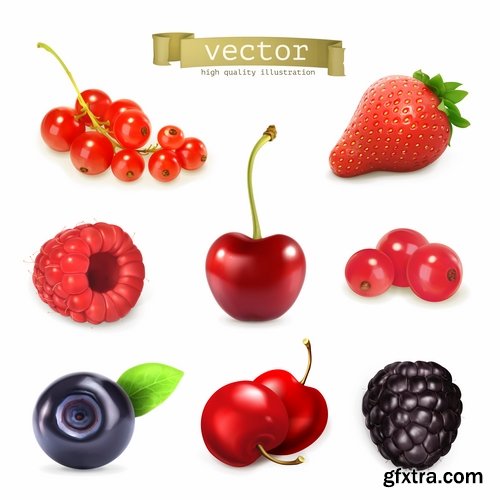 Collection of vector illustration picture different food meal dish menu 25 EPS