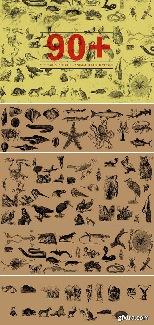 CM - 90+ Vectorial Animal Illustrations 412100