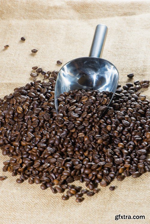 Coffee Cup, Coffee Beans 15xJPG