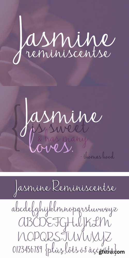 CM - Jasmine Reminiscentse 80225