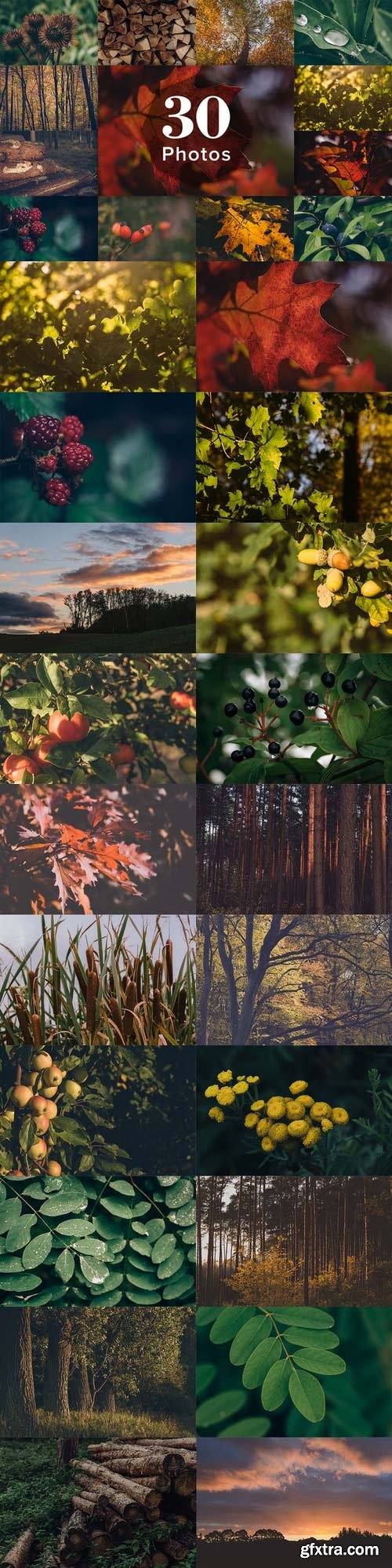 CM - Autumn Colors Photo Bundle 402285