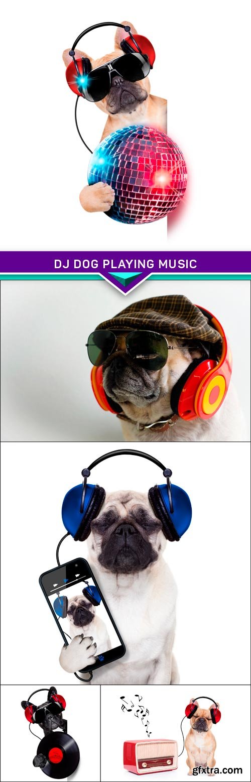 dj dog playing music 5x JPEG