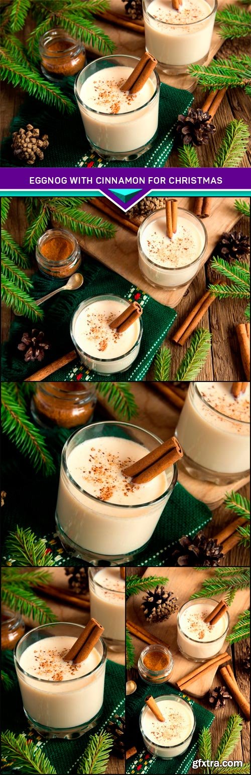 Eggnog with cinnamon for Christmas and winter holidays 5x JPEG