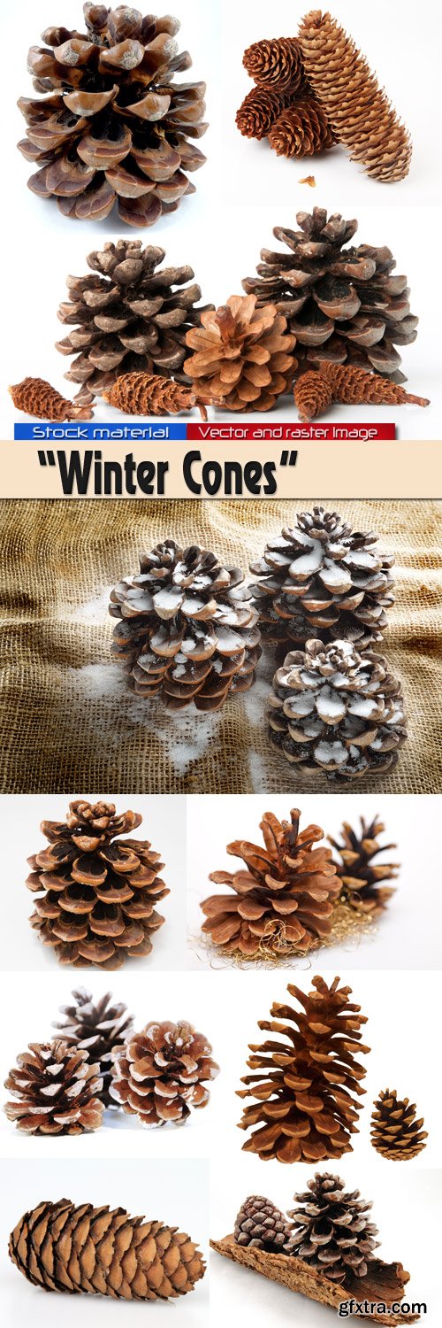 Winter cones