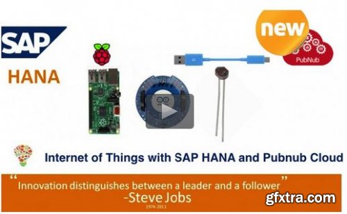 SAP HANA Internet of Things(IoT):Raspberry, Uno, PubNub, UI5