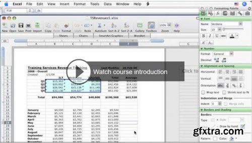 Excel 2008 for Mac Essential Training