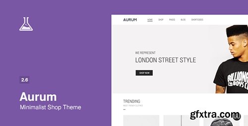 ThemeForest - Aurum v2.6 - Minimalist Shopping Theme - 9600822