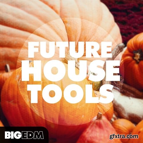 Big EDM Future House Tools MULTiFORMAT-FANTASTiC