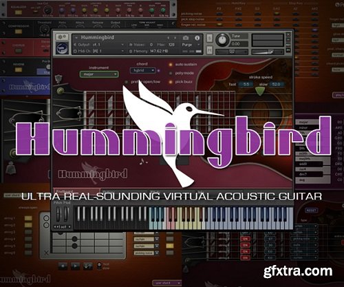 Prominy Hummingbird Acoustic Guitar v1.00c KONTAKT