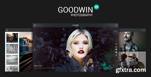 ThemeForest - Photography & Video GoodWin v1.3 - WordPress Theme - 11709544