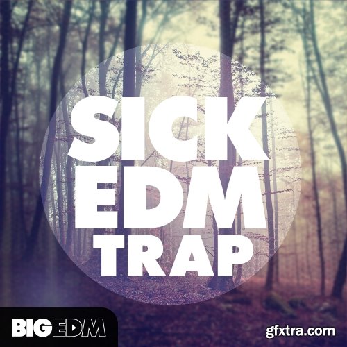 Big EDM Sick EDM Trap MULTiFORMAT-FANTASTiC